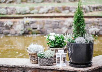 cosinterior foto 002