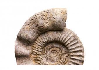 kl home 1000x775 283