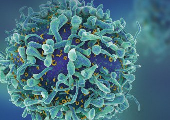 kl home 1000x775 311