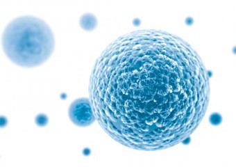 kl home 1000x775 314