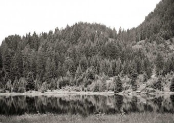 kl home 1000x775 321