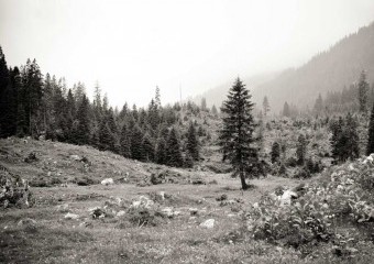 kl home 1000x775 322