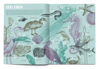 kl home 1000x775 364