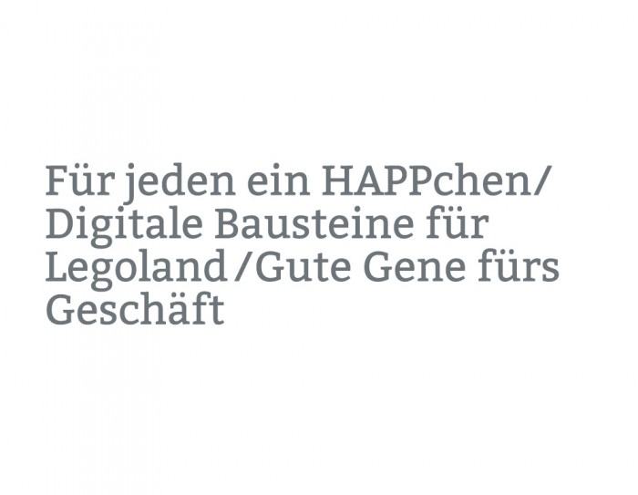 item projekt 030