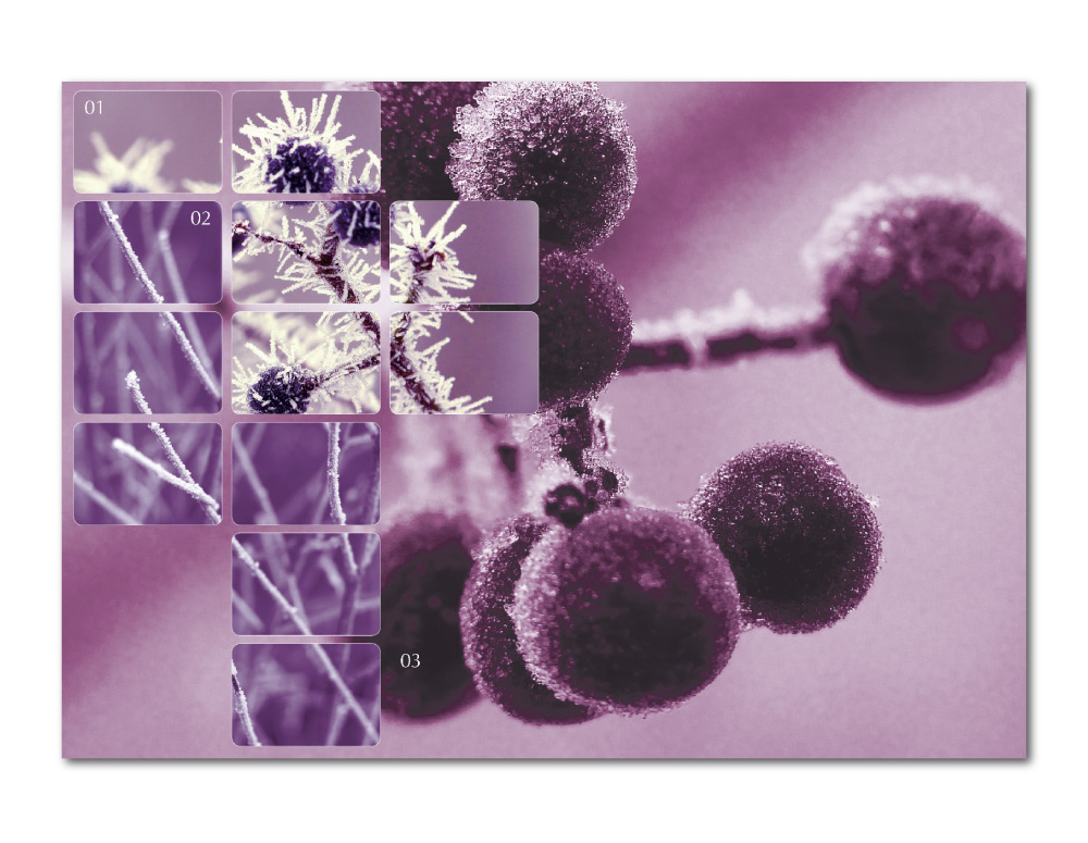 biotek01 marke 028
