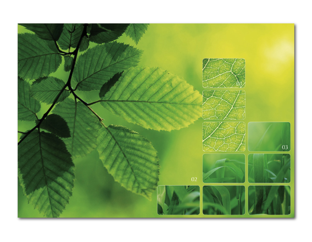 biotek01 marke 031