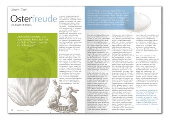 alternovum projekte 005