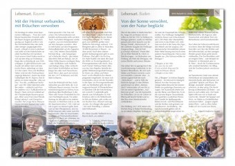 alternovum projekte 017