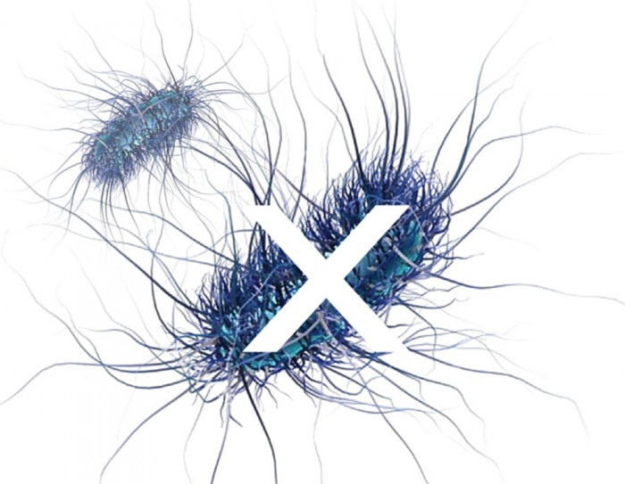 kl home 1000x775 015