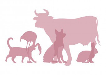 kl home 1000x775 019