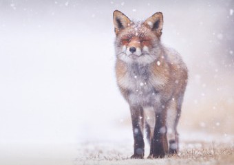 kl home 1000x775 020