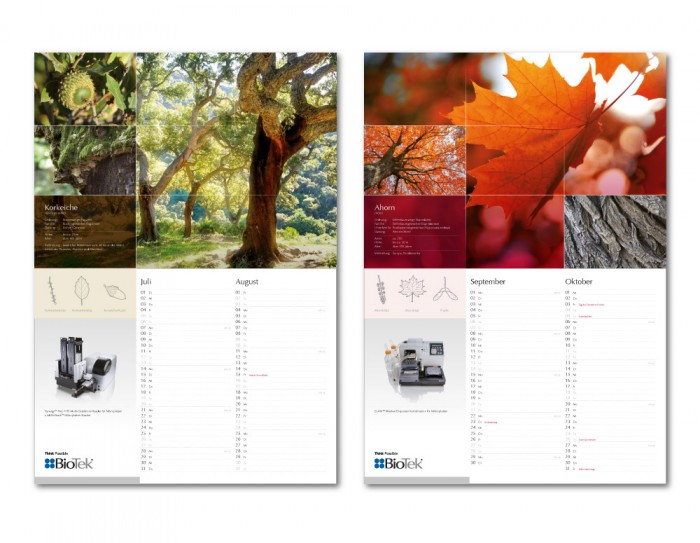 kl home 1000x775 067