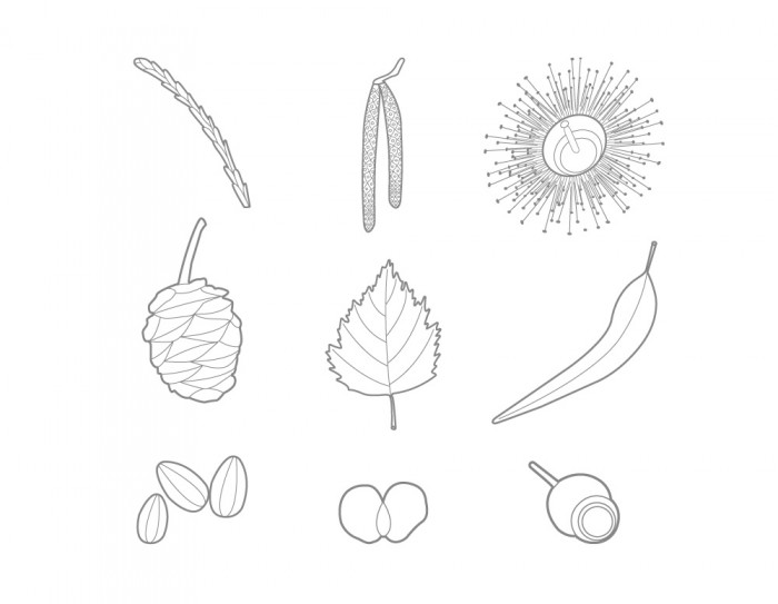 kl home 1000x775 068