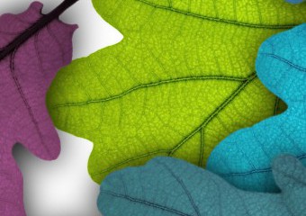 kl home 1000x775 0147