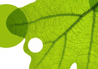 kl home 1000x775 0148