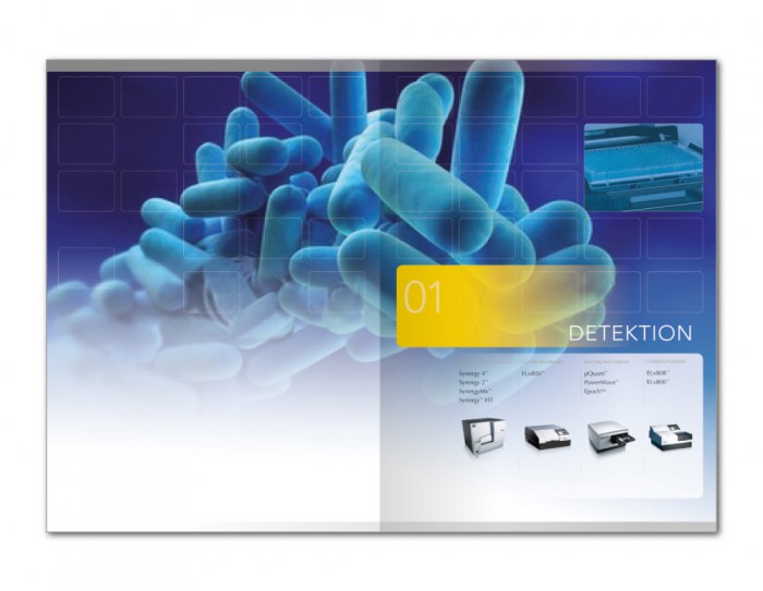 kl home 1000x775 0181