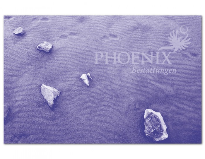 phx marke 002