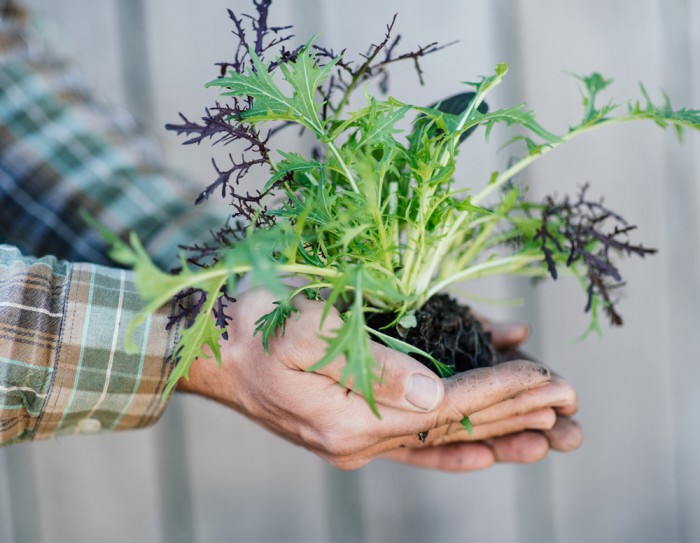 kl home 1000x775 255