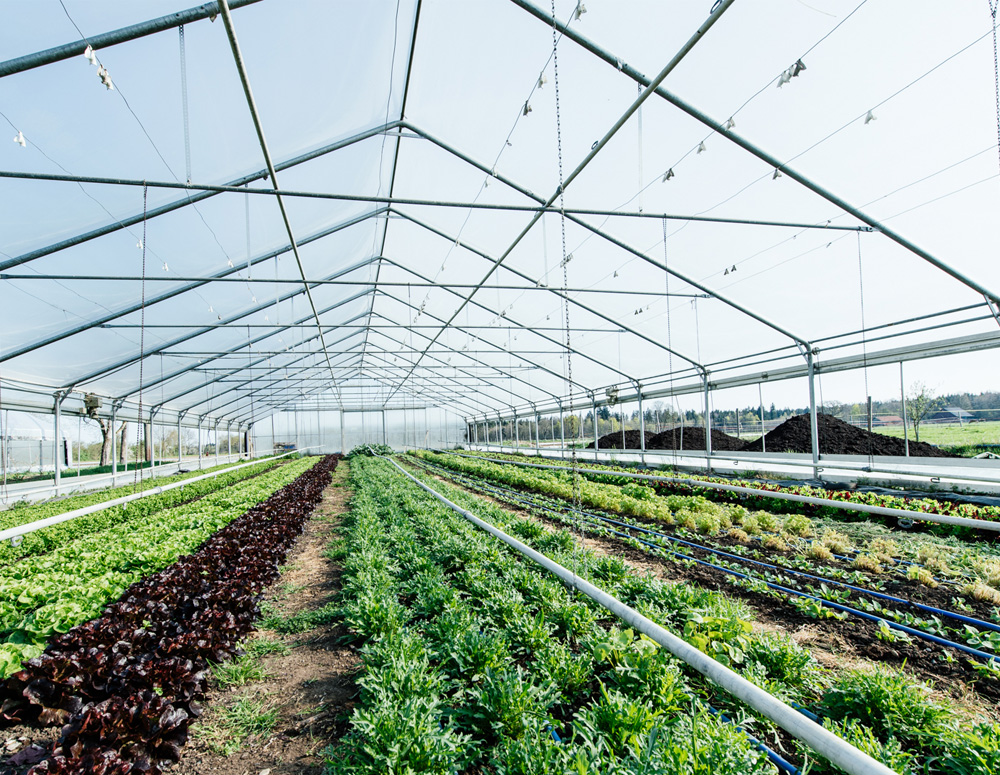 kl home 1000x775 257