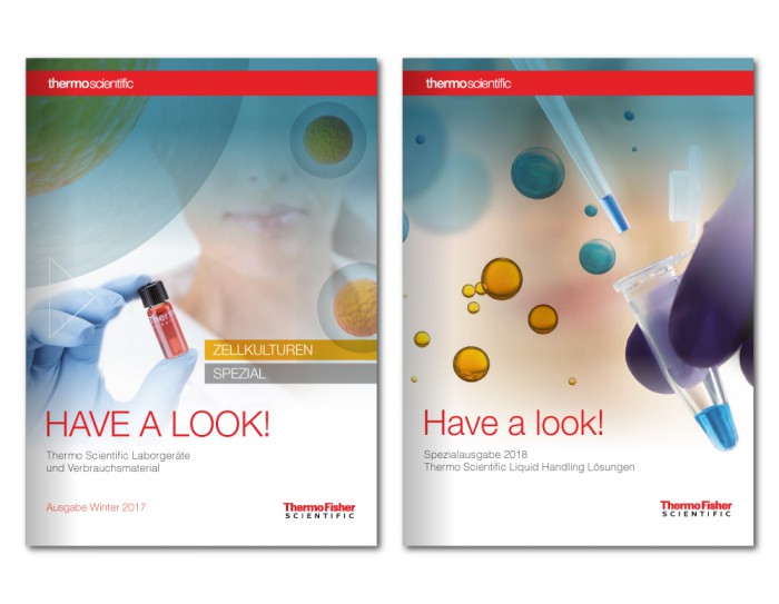 kl home 1000x775 260