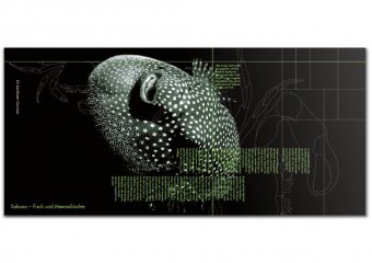 essthetik projekte 012