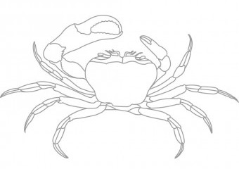 essthetik projekte 002