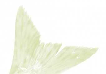 kwa sk02 projekte 004