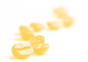 kwa sk02 projekte 005