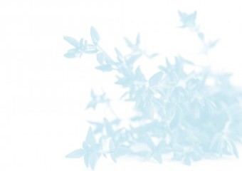 kwa sk02 projekte 007